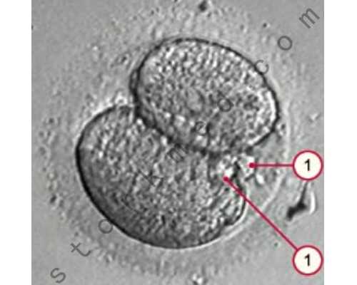 男孩名字大全免费取名攻略